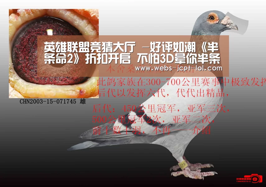 英雄联盟竞猜大厅 -好评如潮《半条命2》折扣开启 不怕3D晕你半条命才行(图1) 英雄联盟竞猜大厅